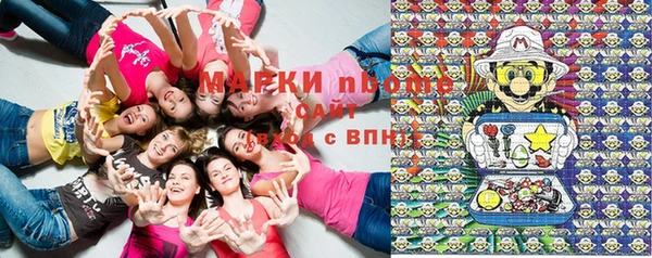 гидропоника Бугульма