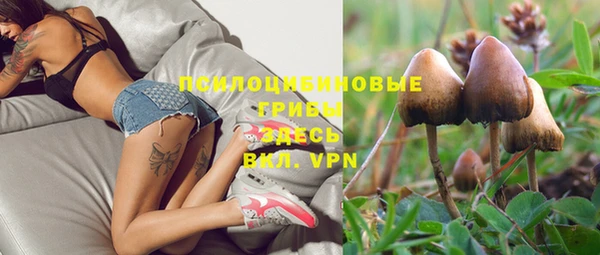 PSILOCYBIN Пересвет