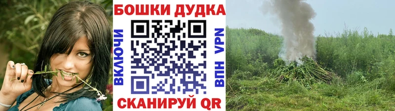 Шишки марихуана Amnesia  Свободный 